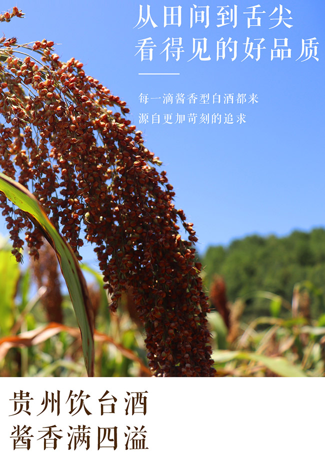 原酱酒年份珍藏30 酱香型【53° 500ml】